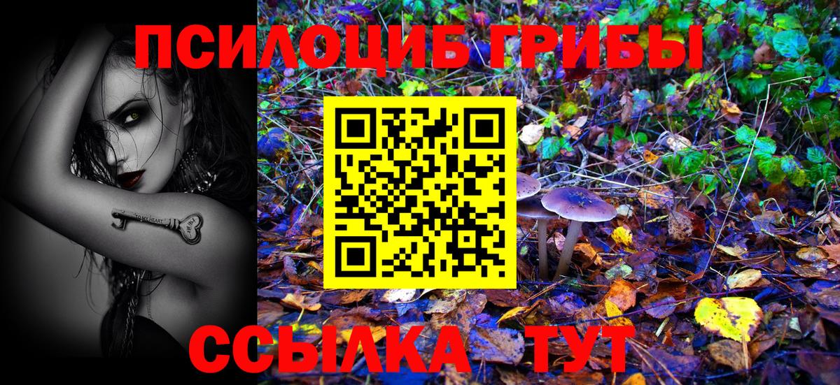 Псилоцибиновые грибы MAGIC MUSHROOMS Кемерово