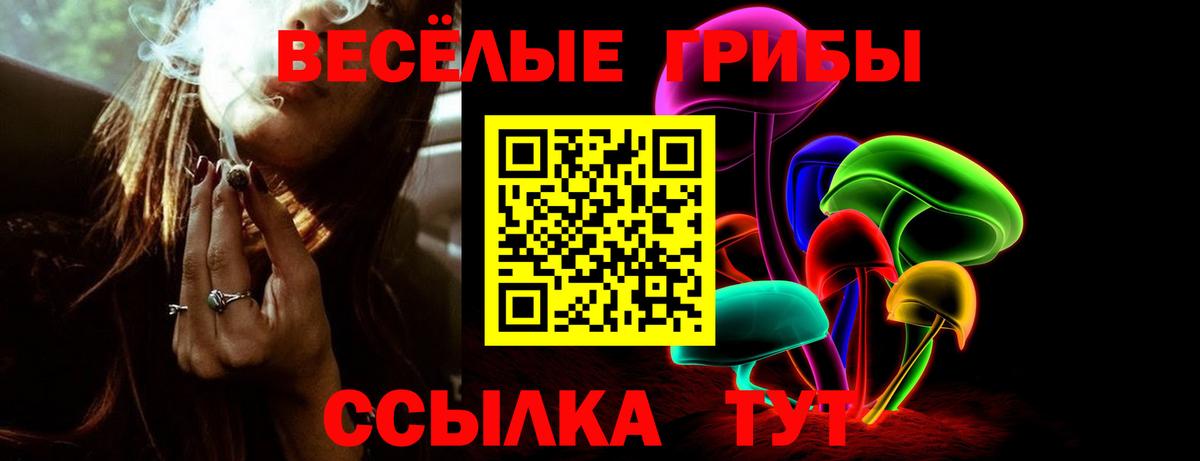 Галлюциногенные грибы прущие грибы  Вход с VPN  хочу   Кемерово 